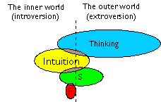 Entj Type Dynamics