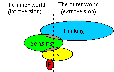 ESTJ Mental Muscle Diagram