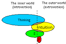 INTP Mental Muscle Diagram